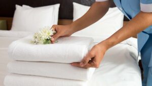 Bedding & Linen